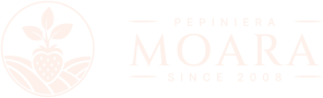 Logo_pepinieram